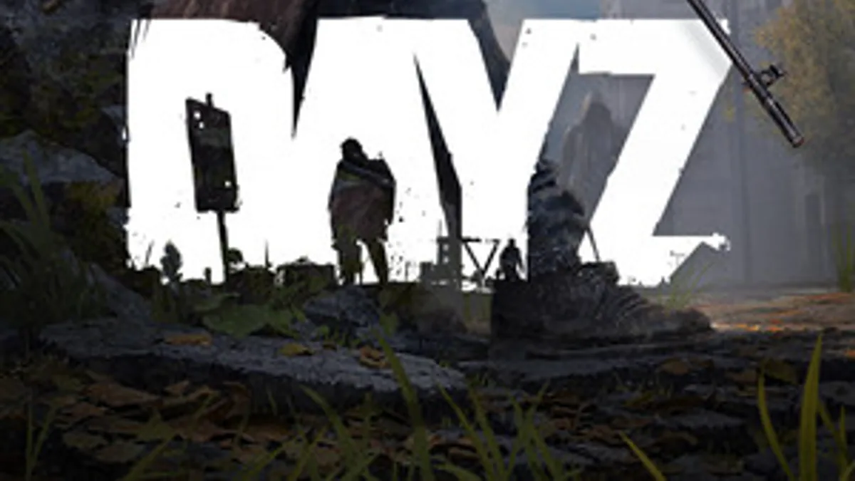 DayZ gameplay scene — guide illustration